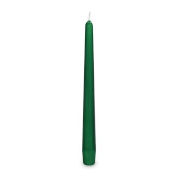 svicka-konicka-tm-zelena-245mm_3689_1139.jpg